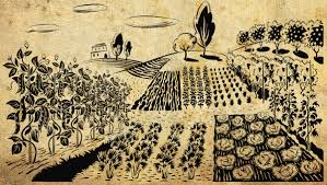farm