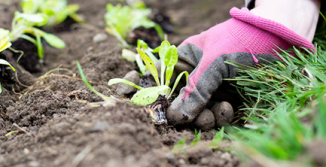 Screen Shot 2017-07-16 at 9.34.38 PM